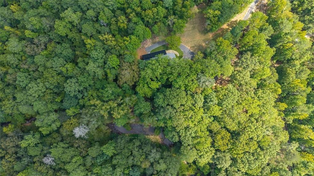 2237 Clem Lowell Road Carrollton, GA 30116 - Photo 50 of 60 a backyard of a house with lots of green space and trees all around