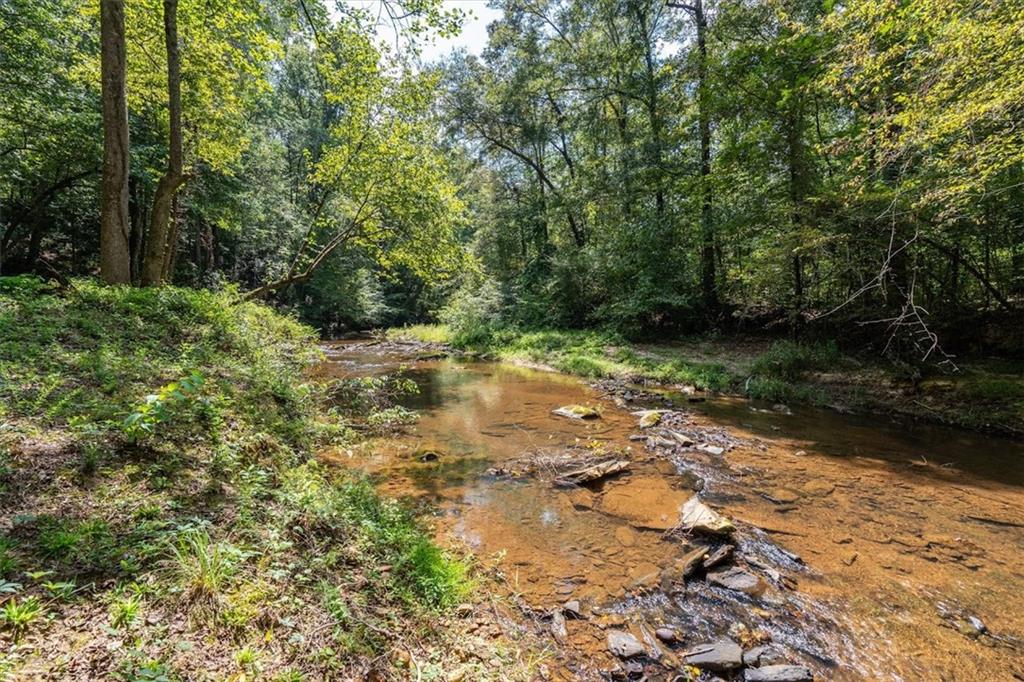 2237 Clem Lowell Road Carrollton, GA 30116 - Photo 53 of 60 a pathway of a yard