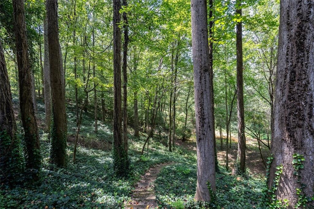 2237 Clem Lowell Road Carrollton, GA 30116 - Photo 55 of 60 a view of outdoor space and trees
