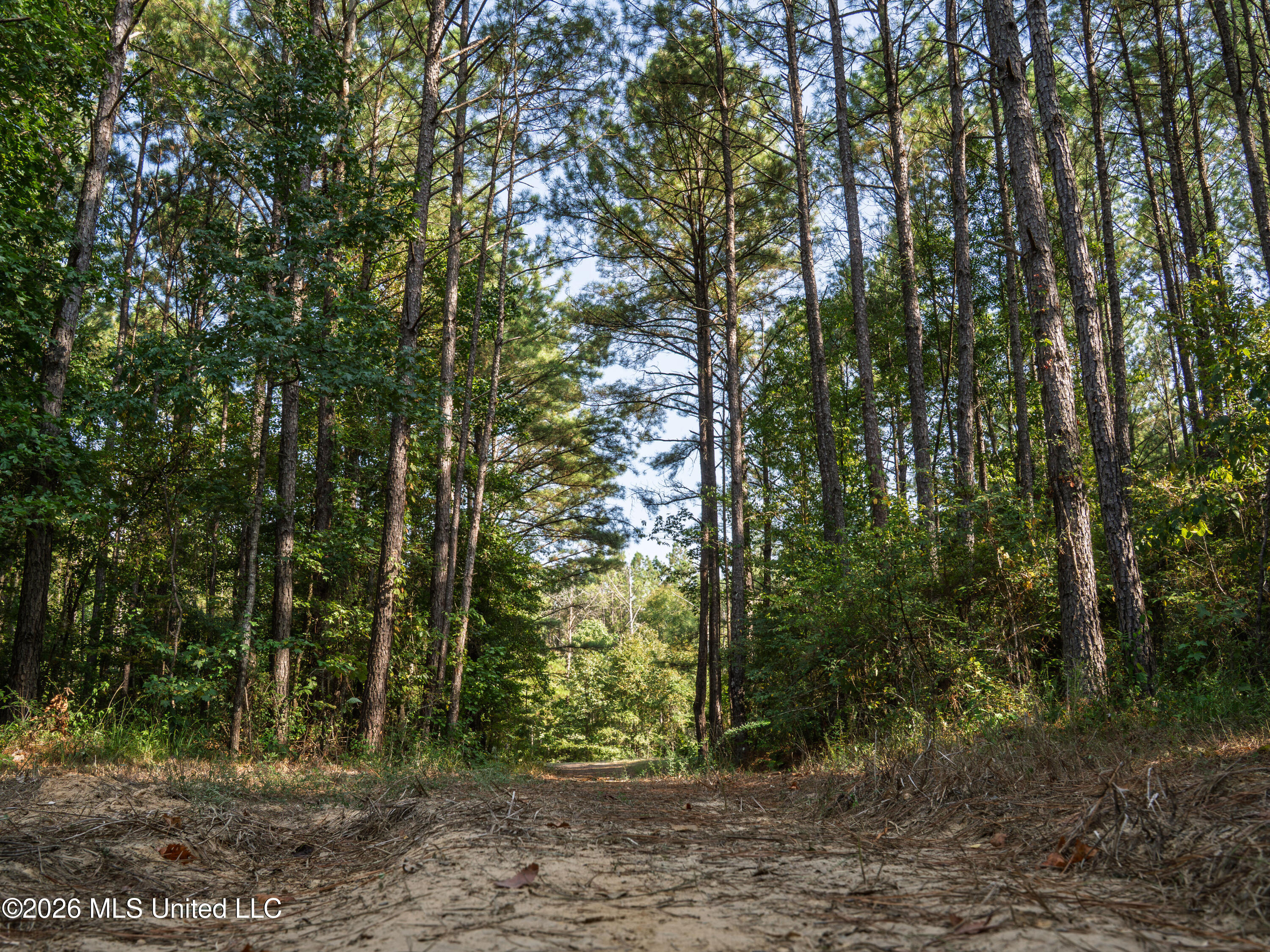 884 Truitt Road Pickens, MS 39146 - Photo 2 of 36 A7404464