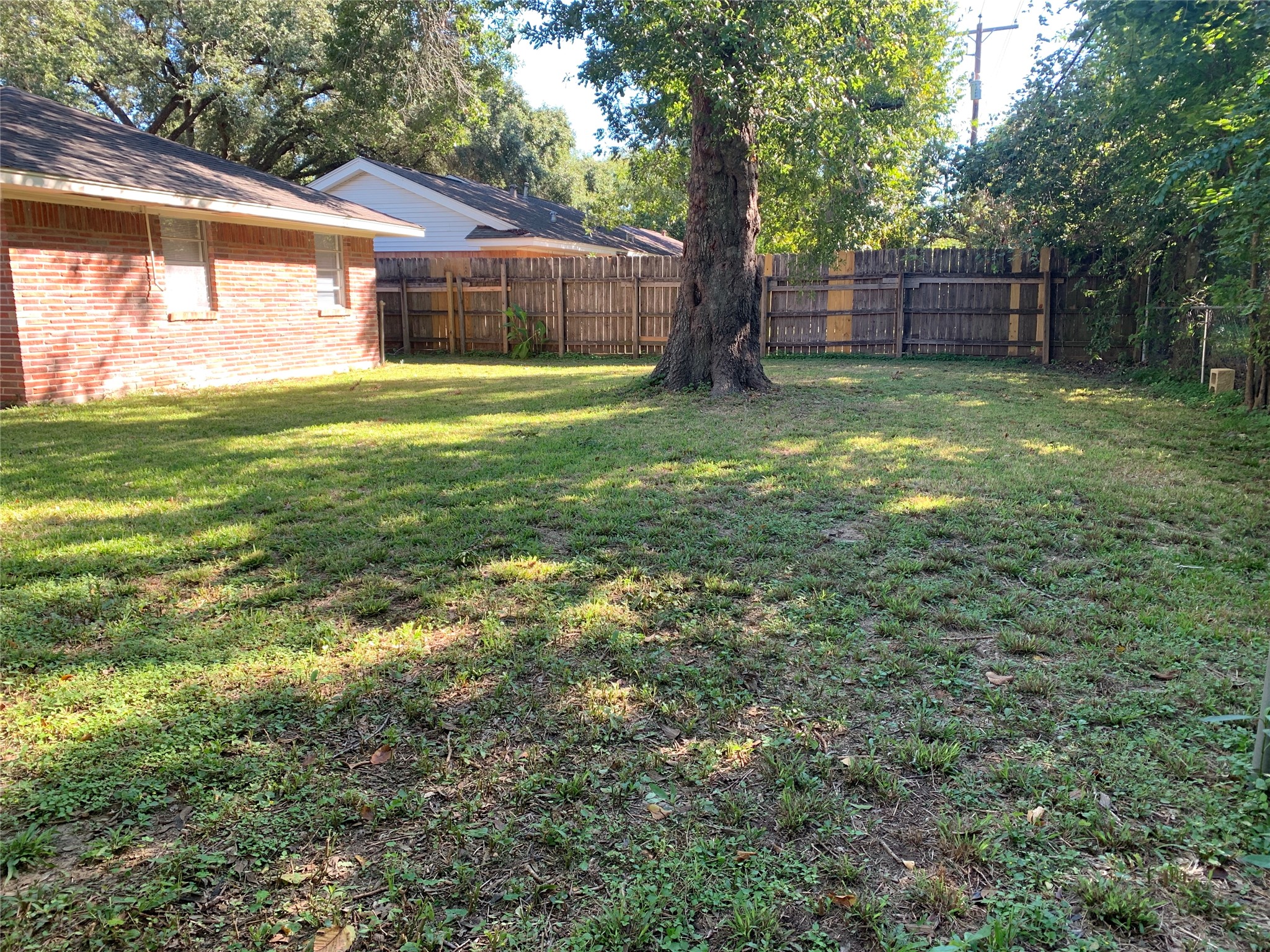 4427 Warm Springs Road Houston, TX 77035 - Photo 23 of 30 View of back yard with shade tree.