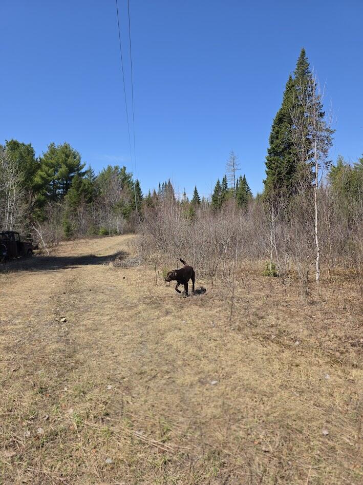 131 River Road Oakfield, ME 04763 - Photo 3 of 9 20260504_111419