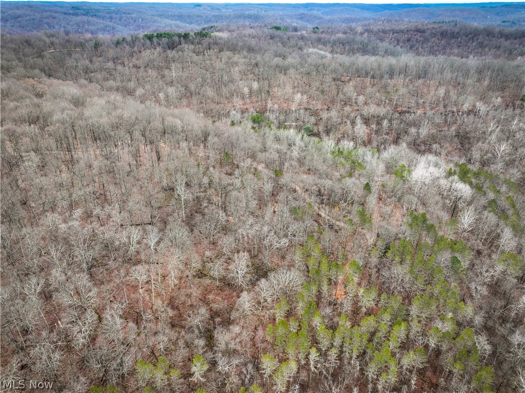 13 Ayers Ridge Lower Salem, OH 45745 - Photo 24 of 32 Drone / aerial view of a heavily wooded area