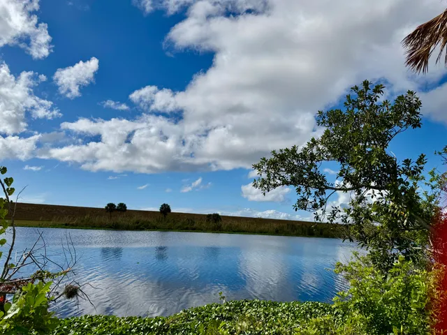 a view of an empty room with window kitchen view and living room