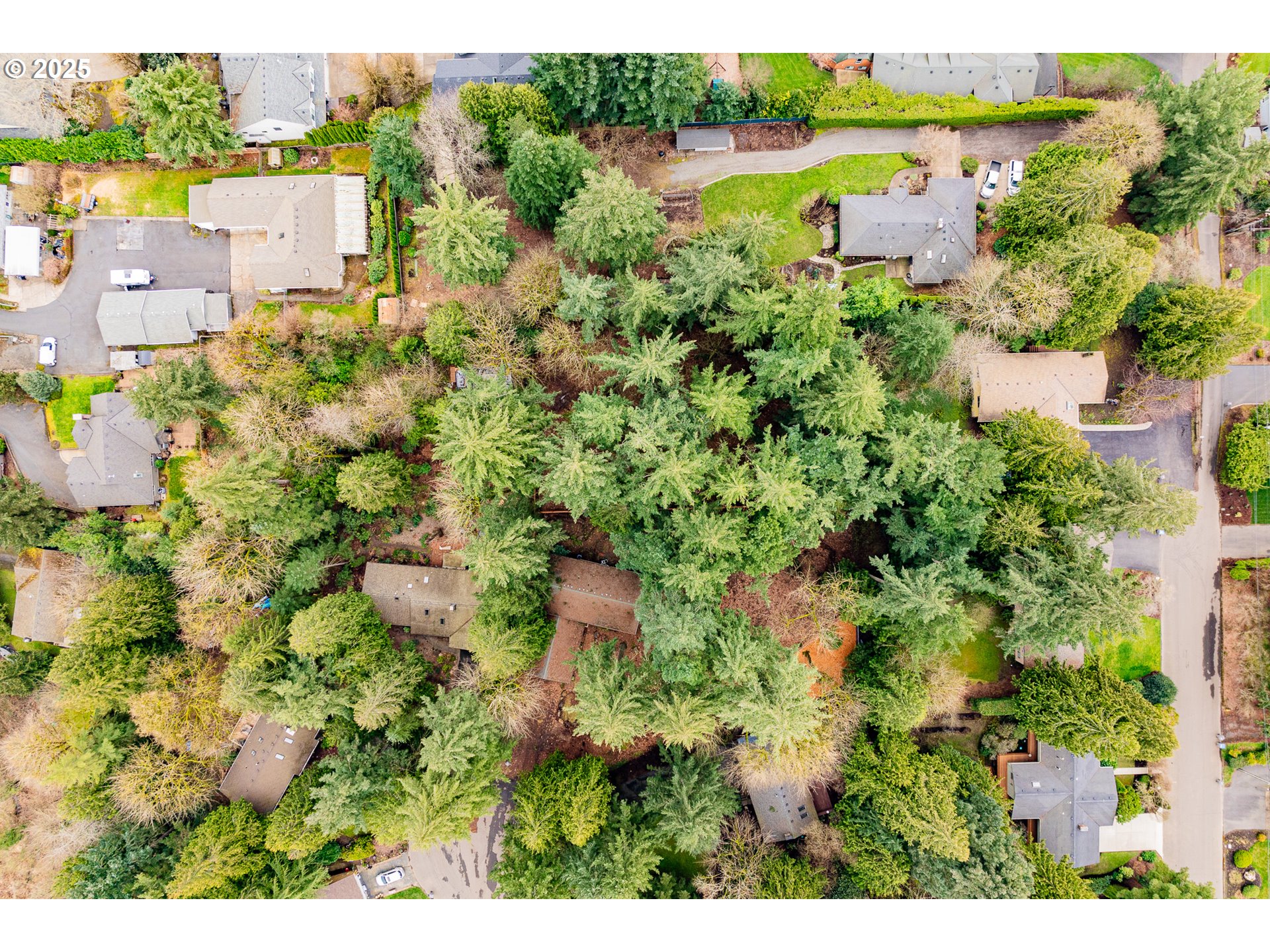 0 Southwest Elrose Court Tigard, OR 97224 - Photo 15 of 20