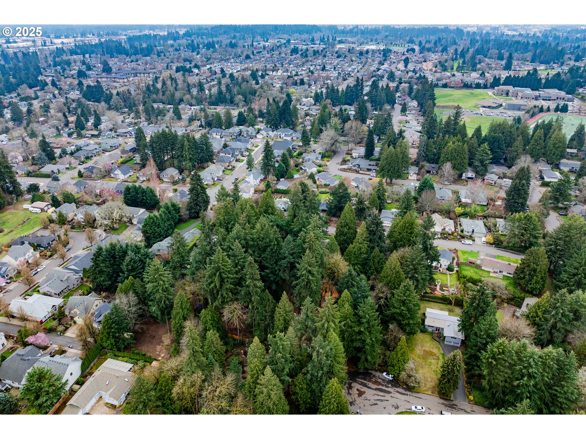 0 Southwest Elrose Court Tigard, OR 97224 - Photo 19 of 20