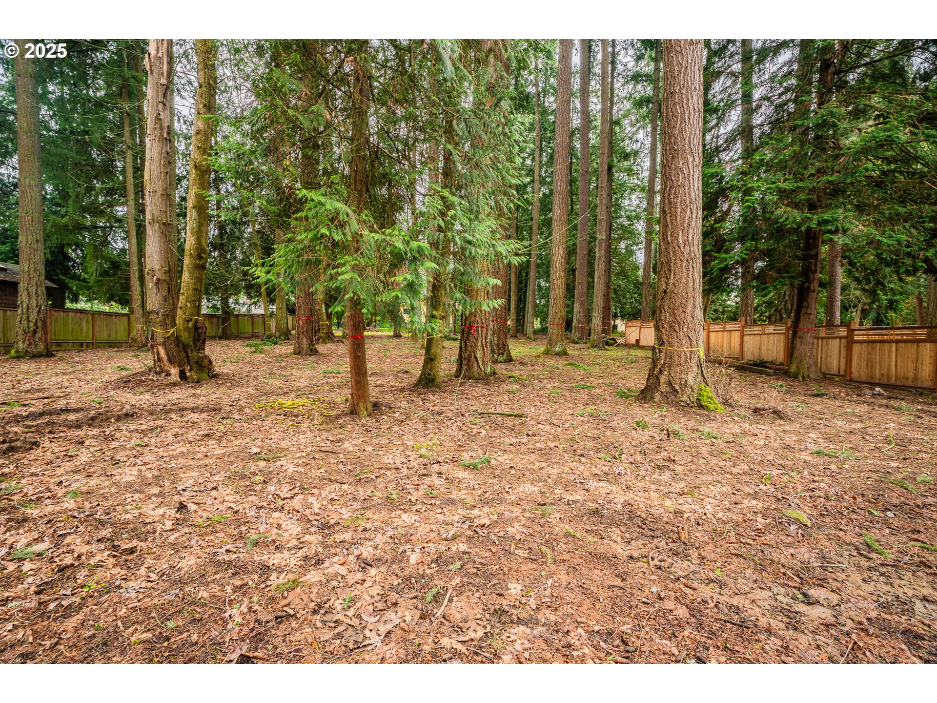 0 Southwest Elrose Court Tigard, OR 97224 - Photo 5 of 20