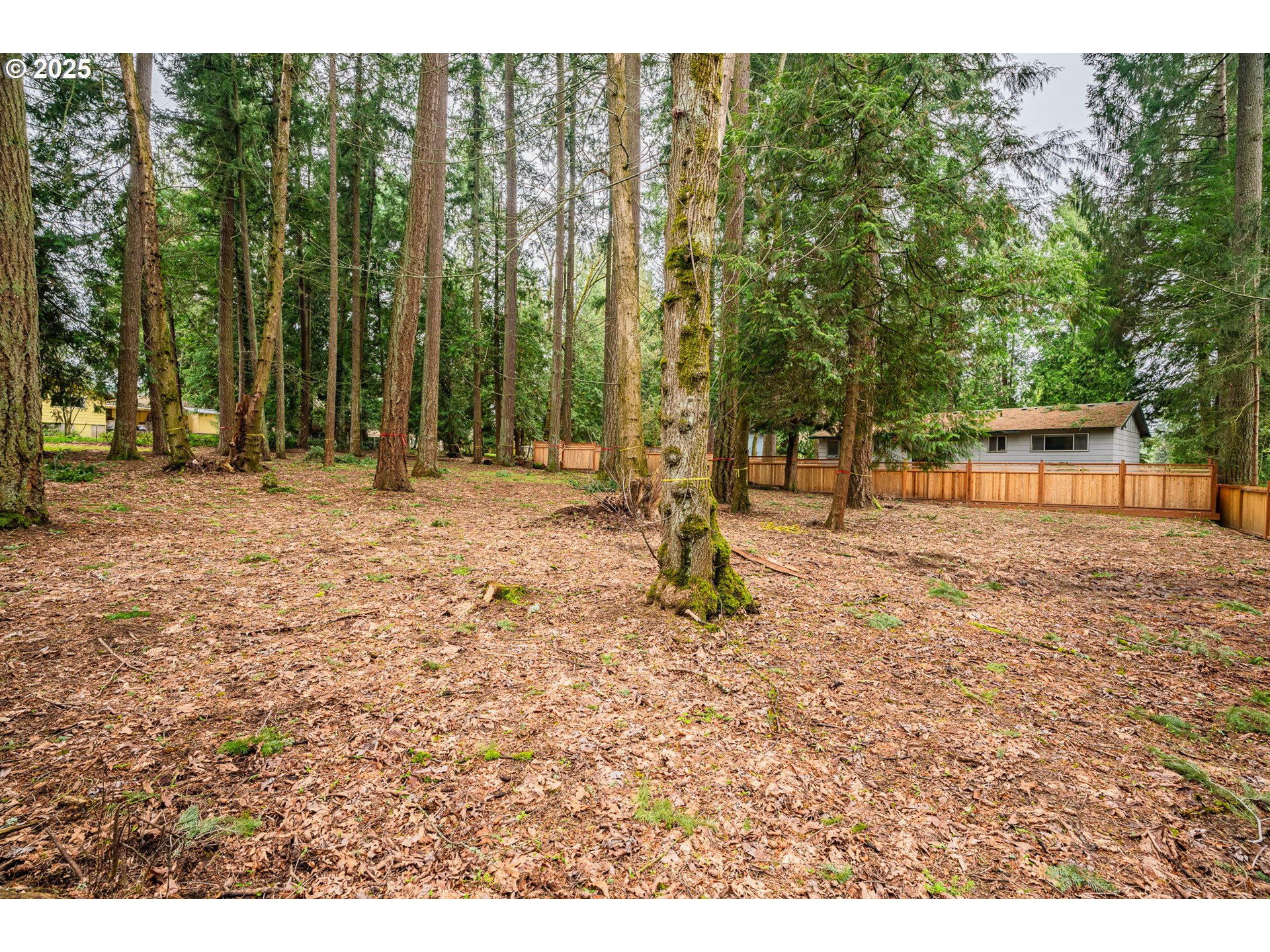 0 Southwest Elrose Court Tigard, OR 97224 - Photo 6 of 20