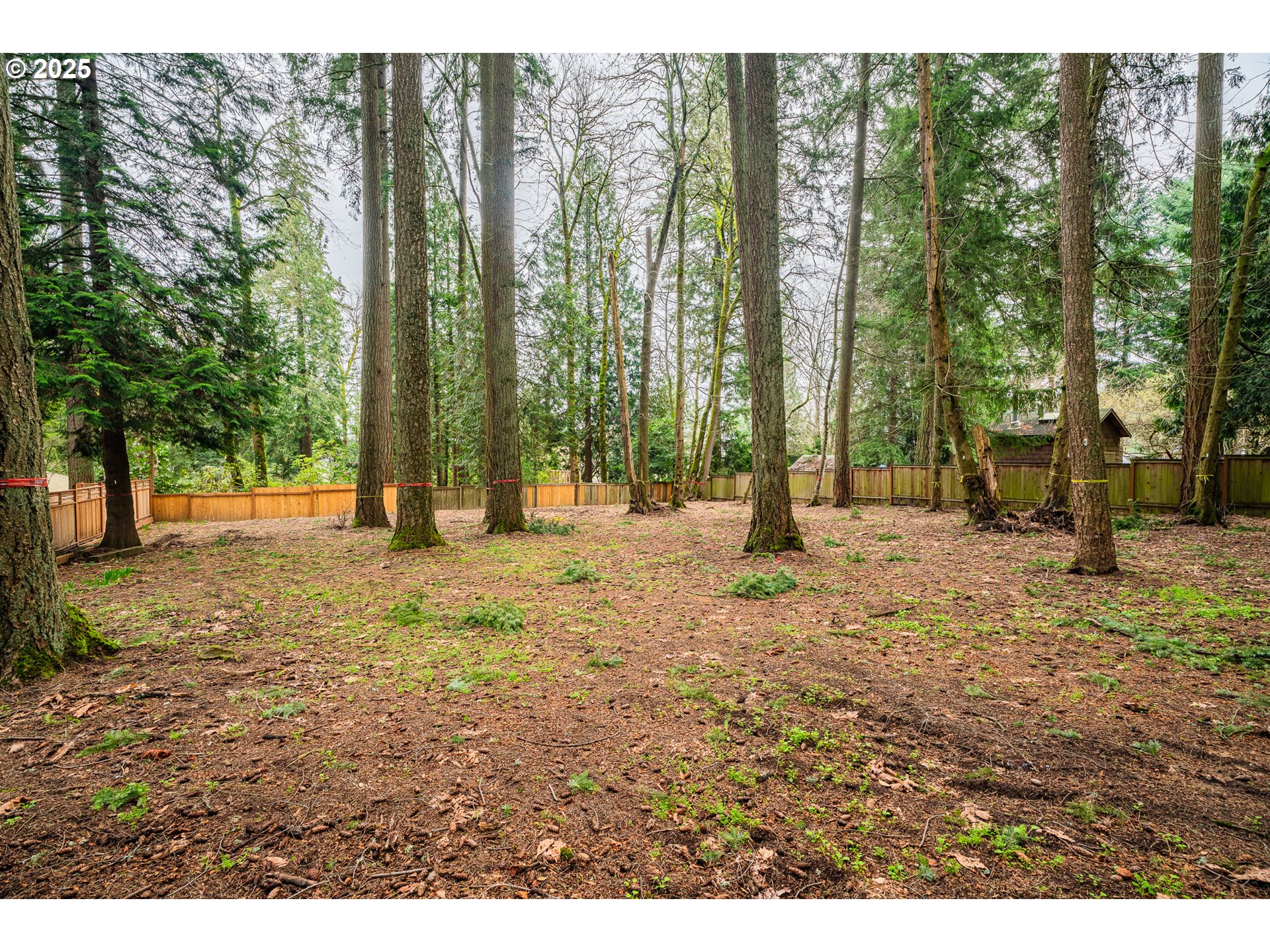 0 Southwest Elrose Court Tigard, OR 97224 - Photo 8 of 20