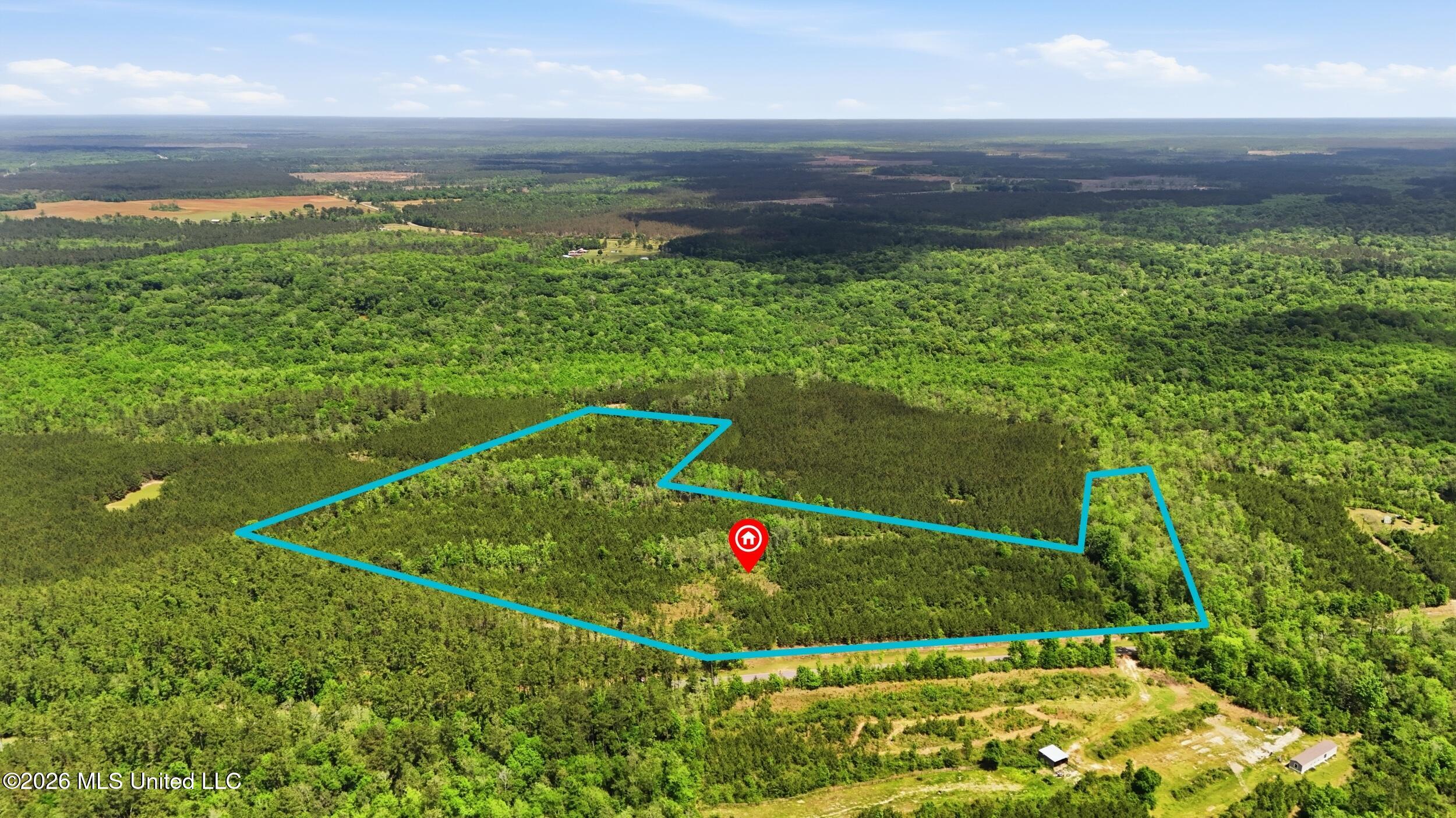 Vestry Road Perkinston, MS 39573 - Photo 9 of 35 dji_20260416134758_0599_d_lotlines