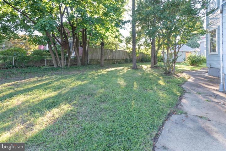 3900 5th Street Baltimore, MD 21225 - Photo 6 of 32 a view of backyard with tree
