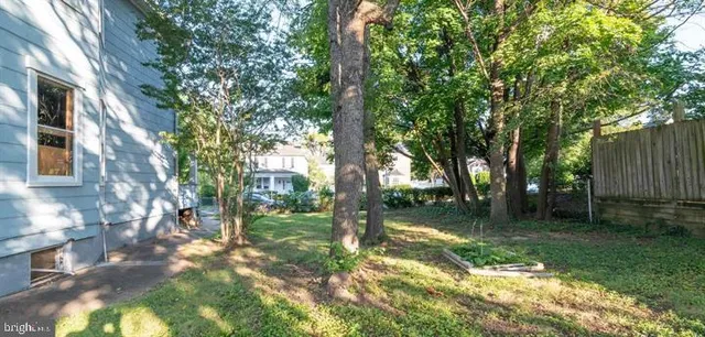 a view of a yard with a tree