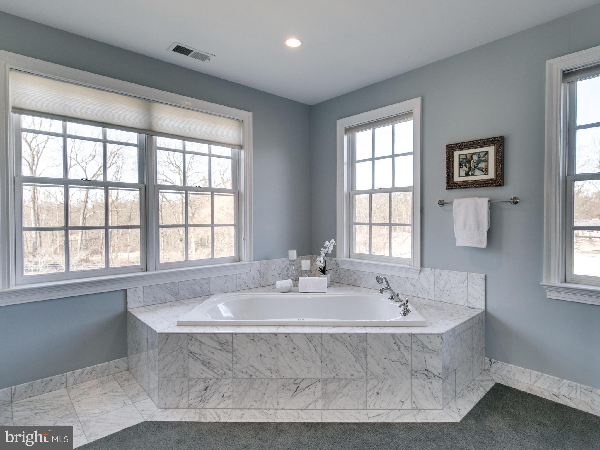 10207 East Hunter Valley Road Vienna, VA 22181 - Photo 16 of 26 MASTER BATH W CARRERA MARBLE