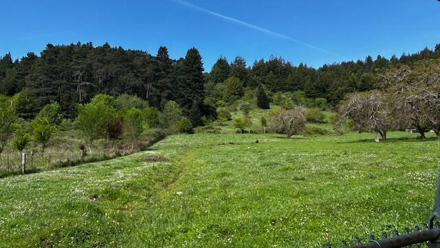 291 Cherry Lane Rio Dell, CA 95562 - Photo 55 of 56 image1