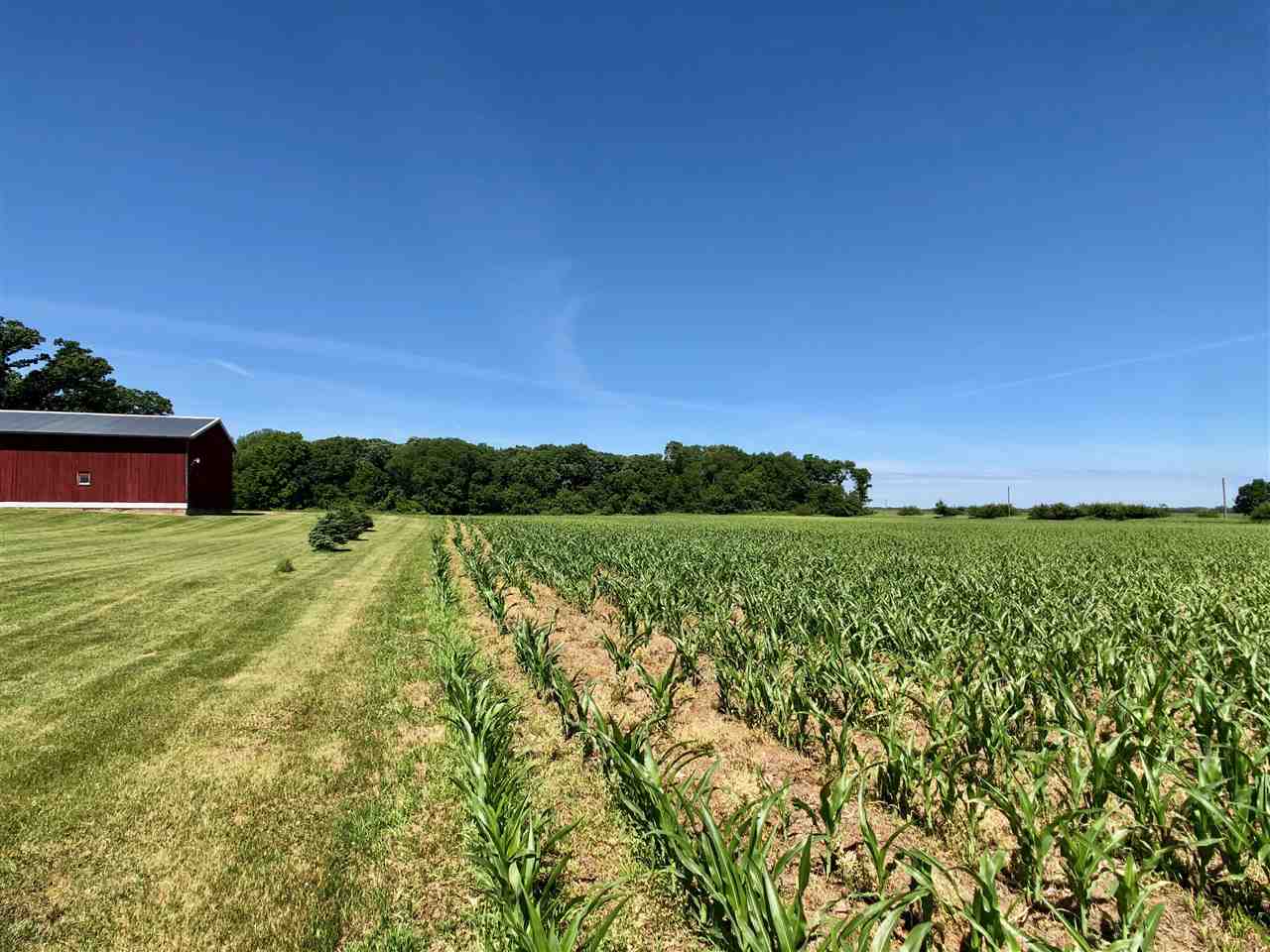 747 Searls Road Amboy, IL 61310 - Photo 24 of 40 a view of a green field with clear sky
