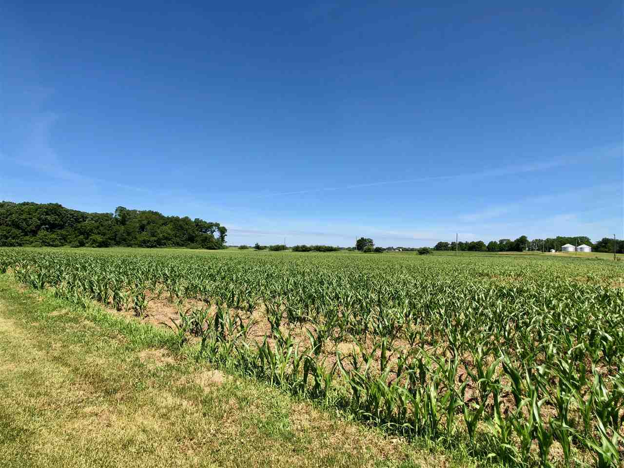 747 Searls Road Amboy, IL 61310 - Photo 25 of 40 a view of a green field with clear sky