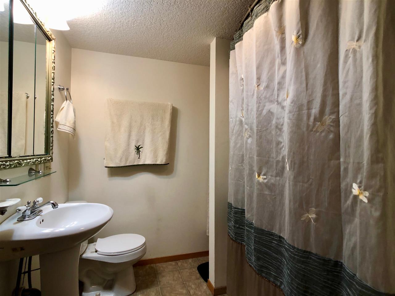 747 Searls Road Amboy, IL 61310 - Photo 33 of 40 a bathroom with a sink toilet and shower