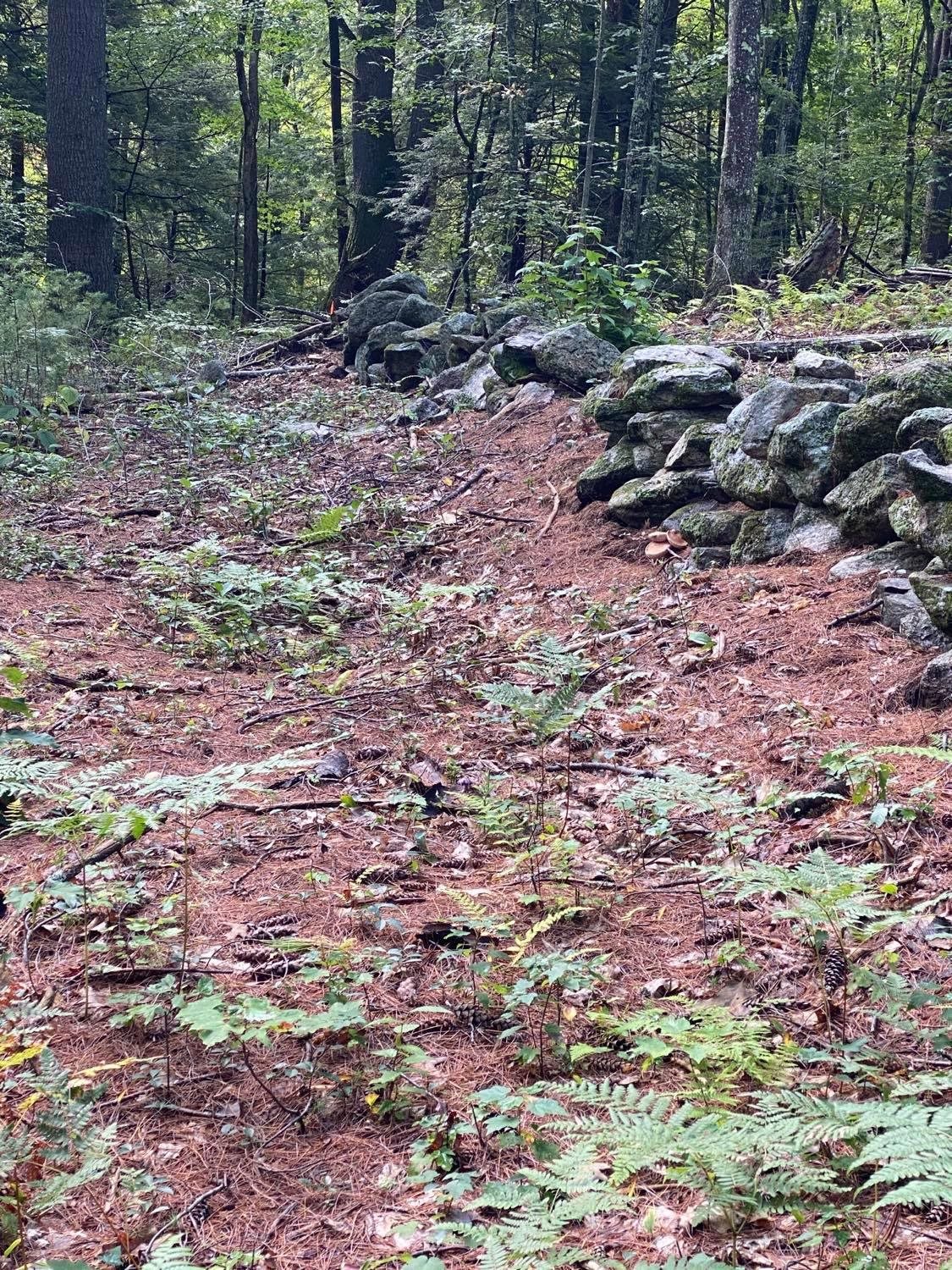 0 Rindge Turnpike Ashburnham, MA 01430 - Photo 4 of 5