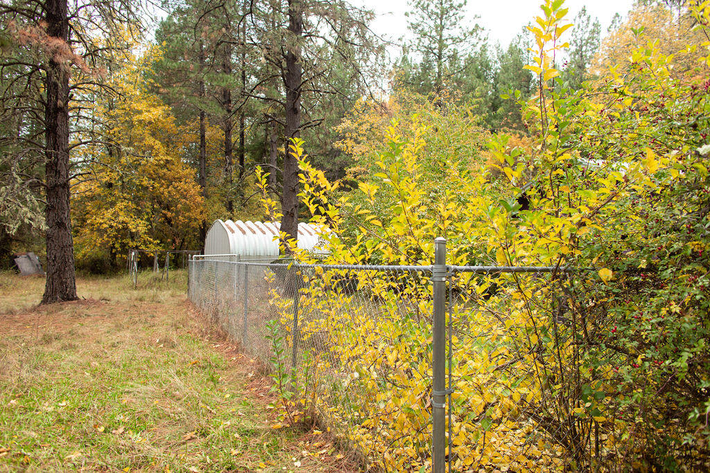 333 Queen Of Bronze Road Cave Junction, OR 97523 - Photo 6 of 22 BrielleLeayDesigns-6