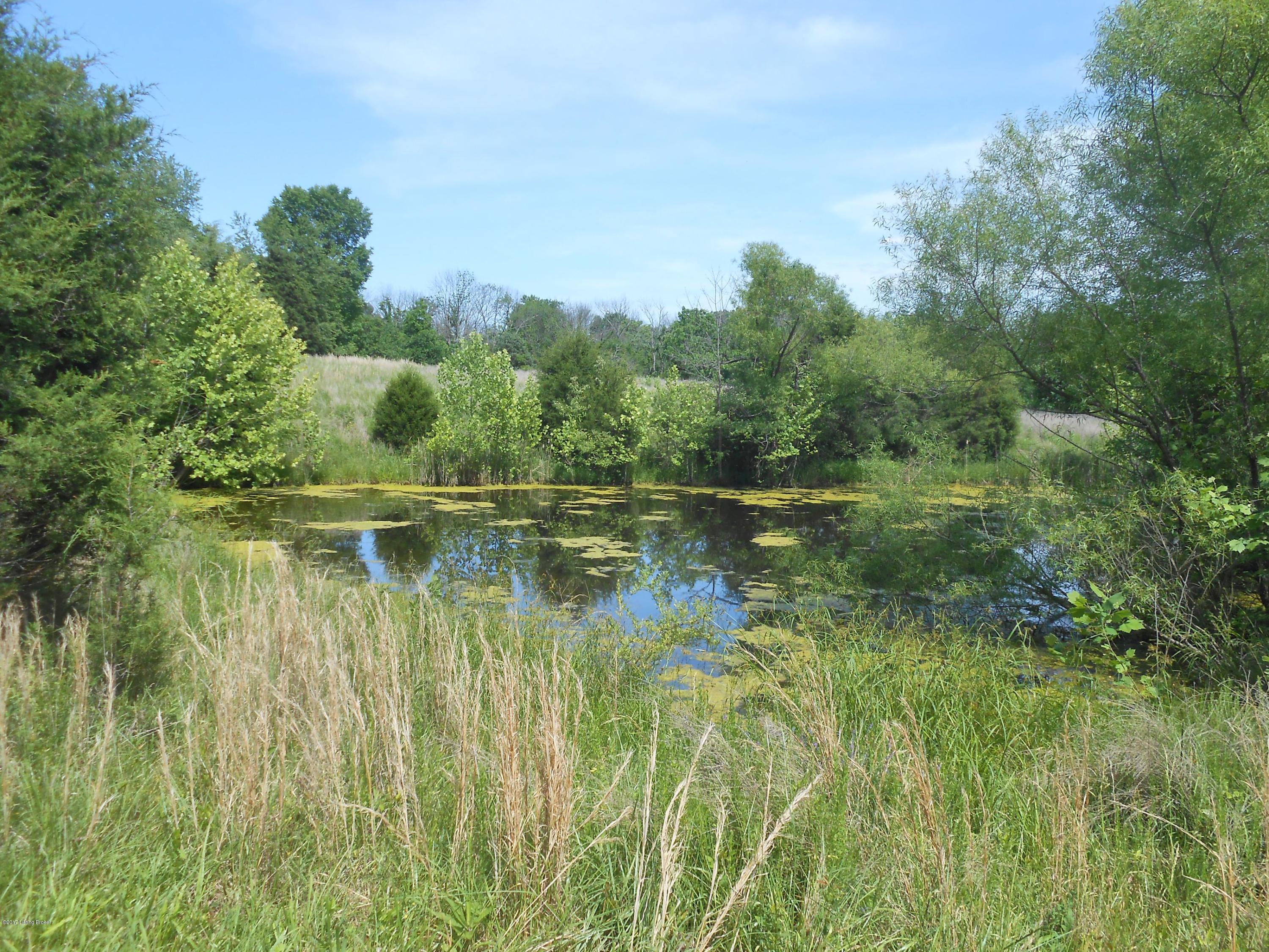 3102 Webb Road Simpsonville, KY 40067 - Photo 3 of 19 Pond
