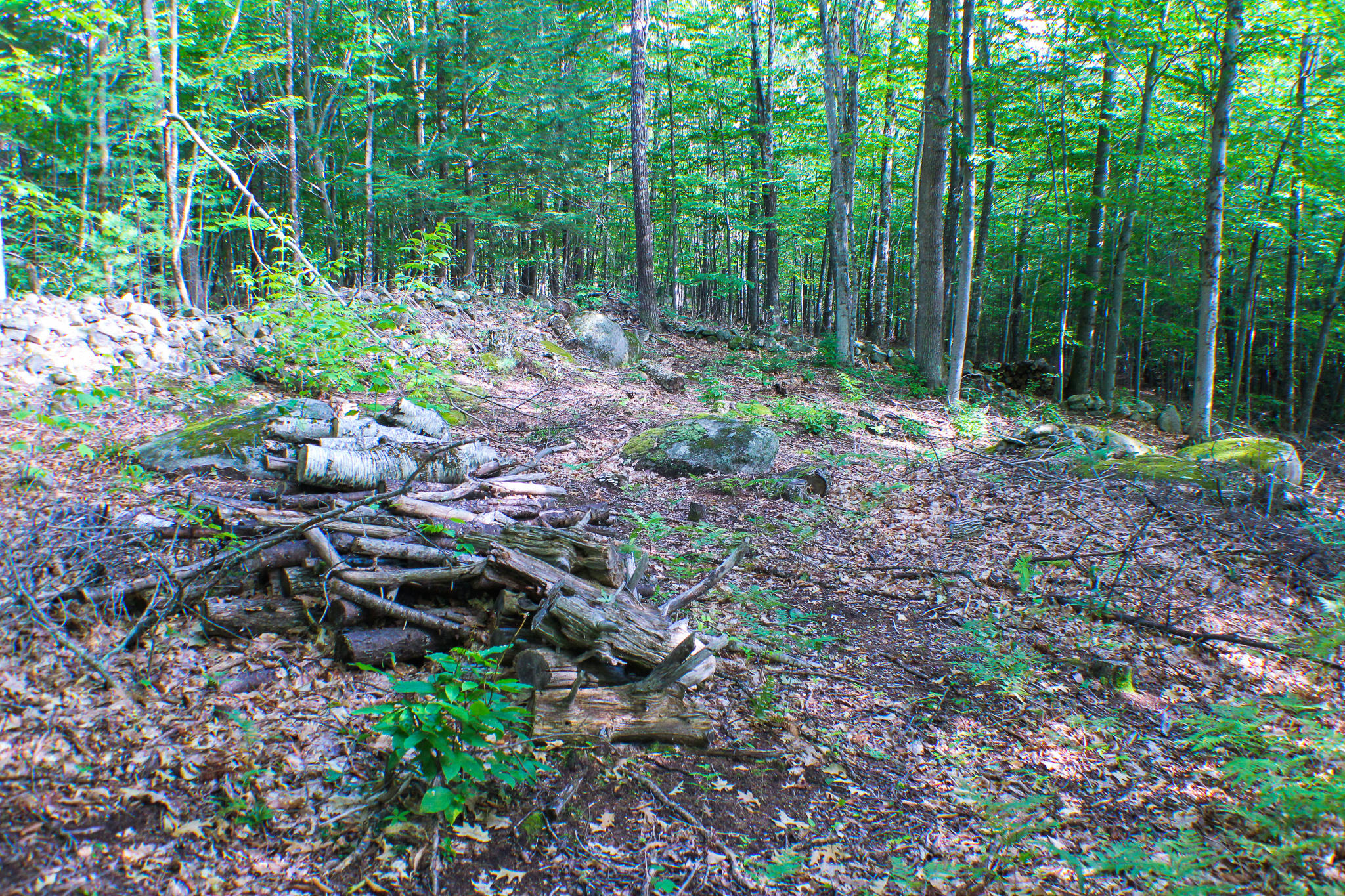 L11-12 Birch Estates Rome, ME 04963 - Photo 43 of 59 IMG_7443