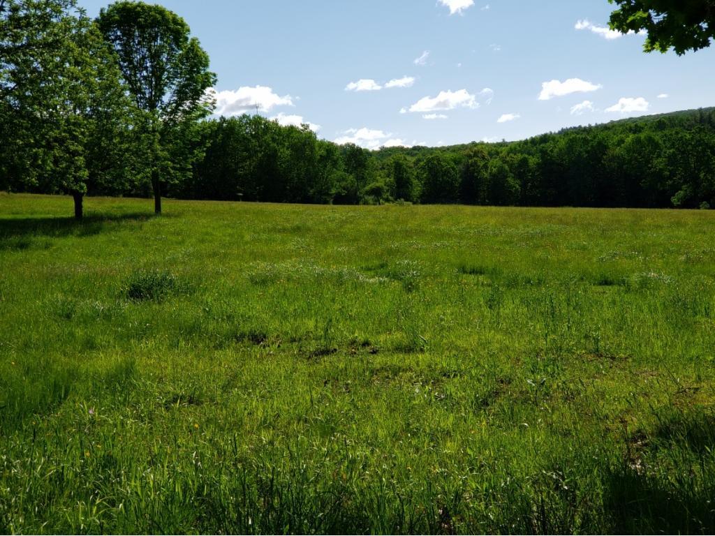 48 Horan Road Vestal, NY 13850 - Photo 22 of 22 Gallery Image 22