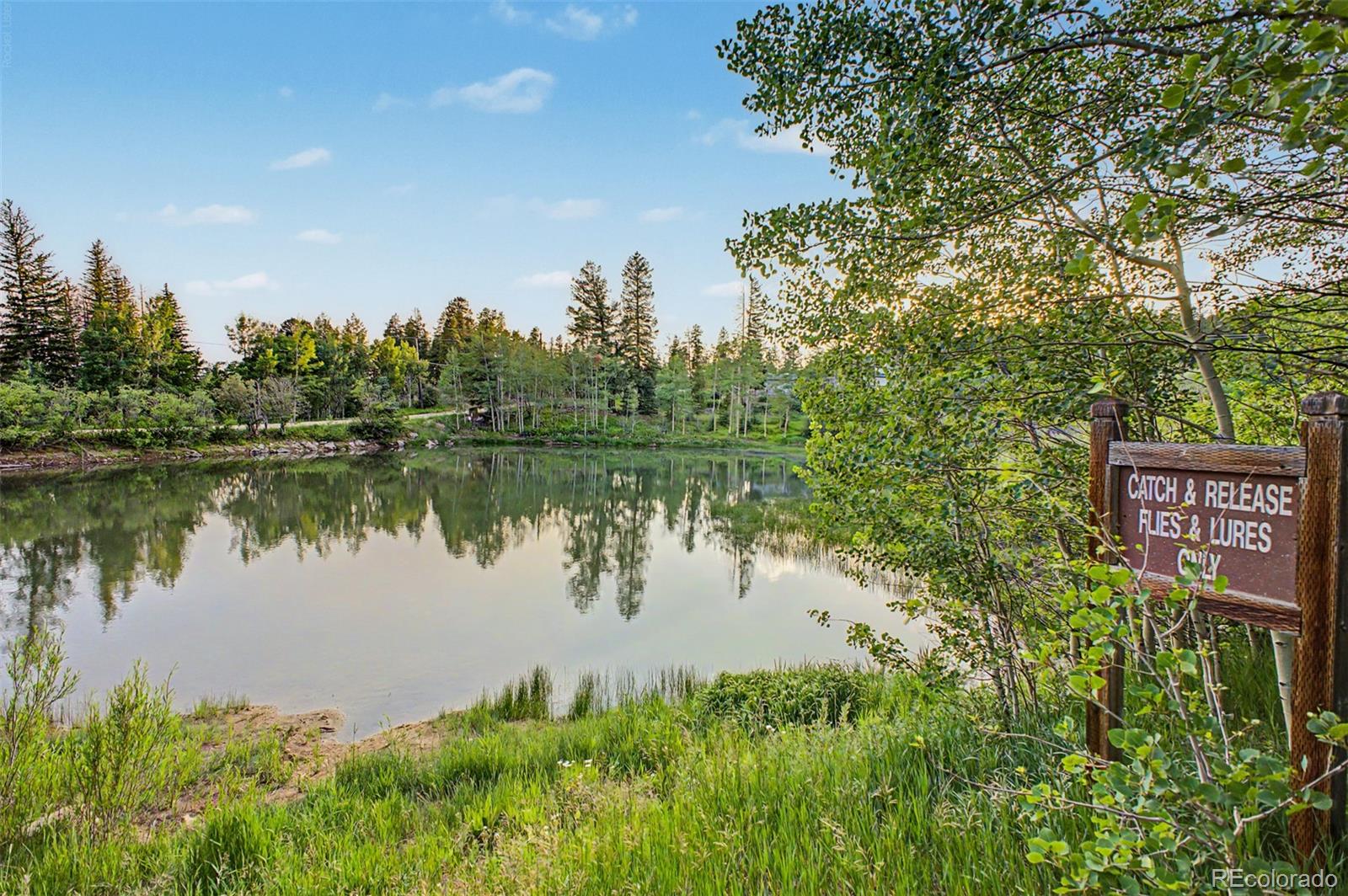 181 Juniper Road Black Hawk, CO 80422 - Photo 44 of 50