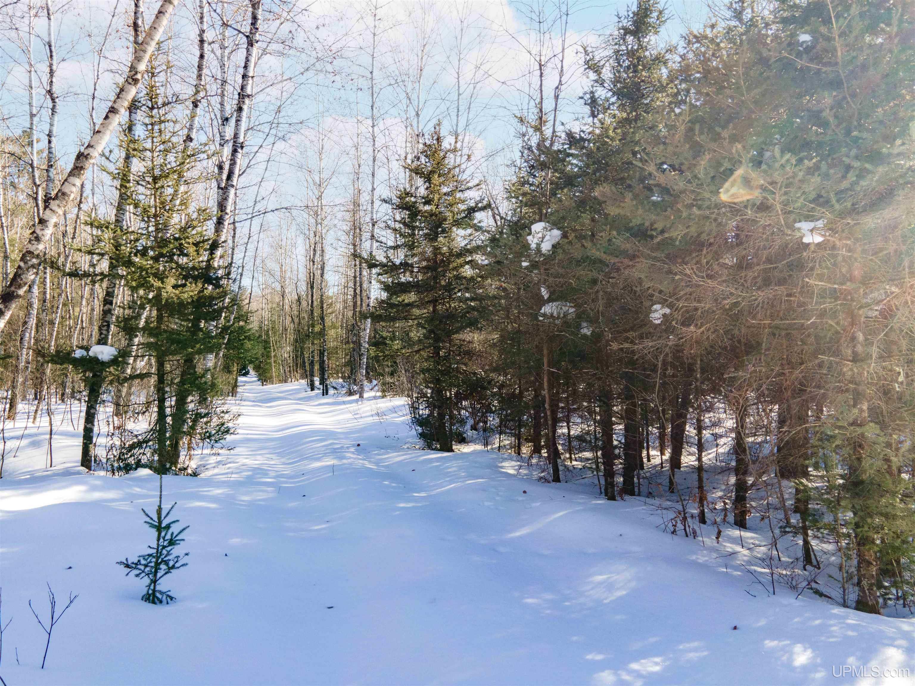 Lot 30 River Country Road Crystal Falls, MI 49920 - Photo 2 of 8