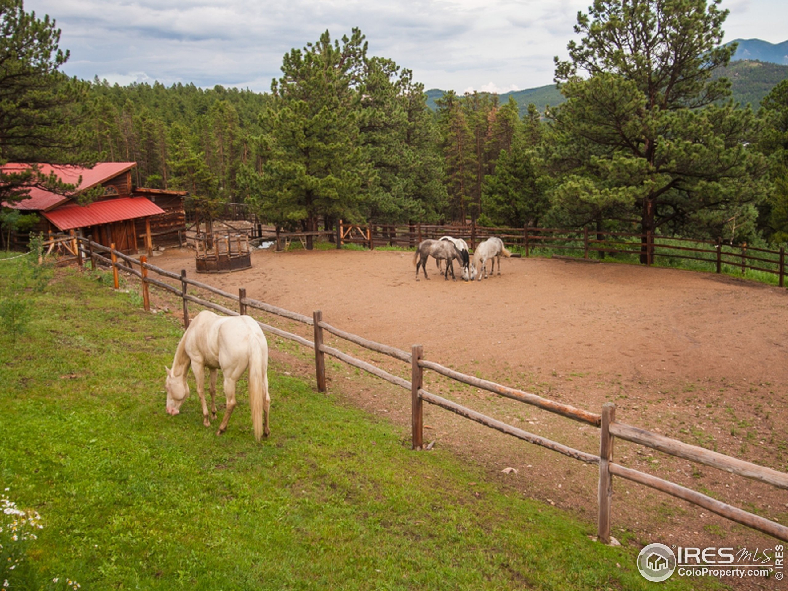 531 County Road Nederland, CO 80466 - Photo 20 of 25 Gallery Image 20