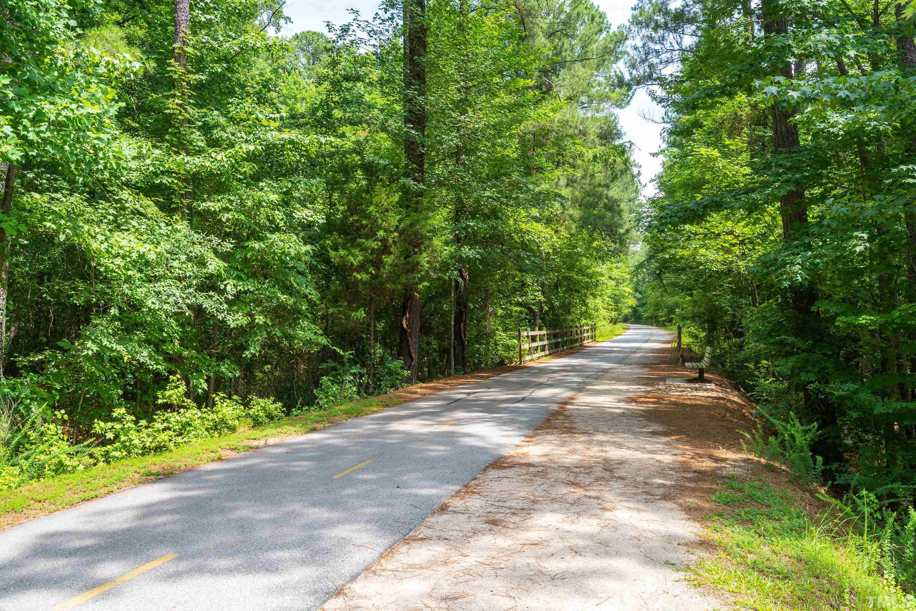 3013 Colmar Manor Drive Cary, NC 27519 - Photo 29 of 53 a view of a yard with plants and trees