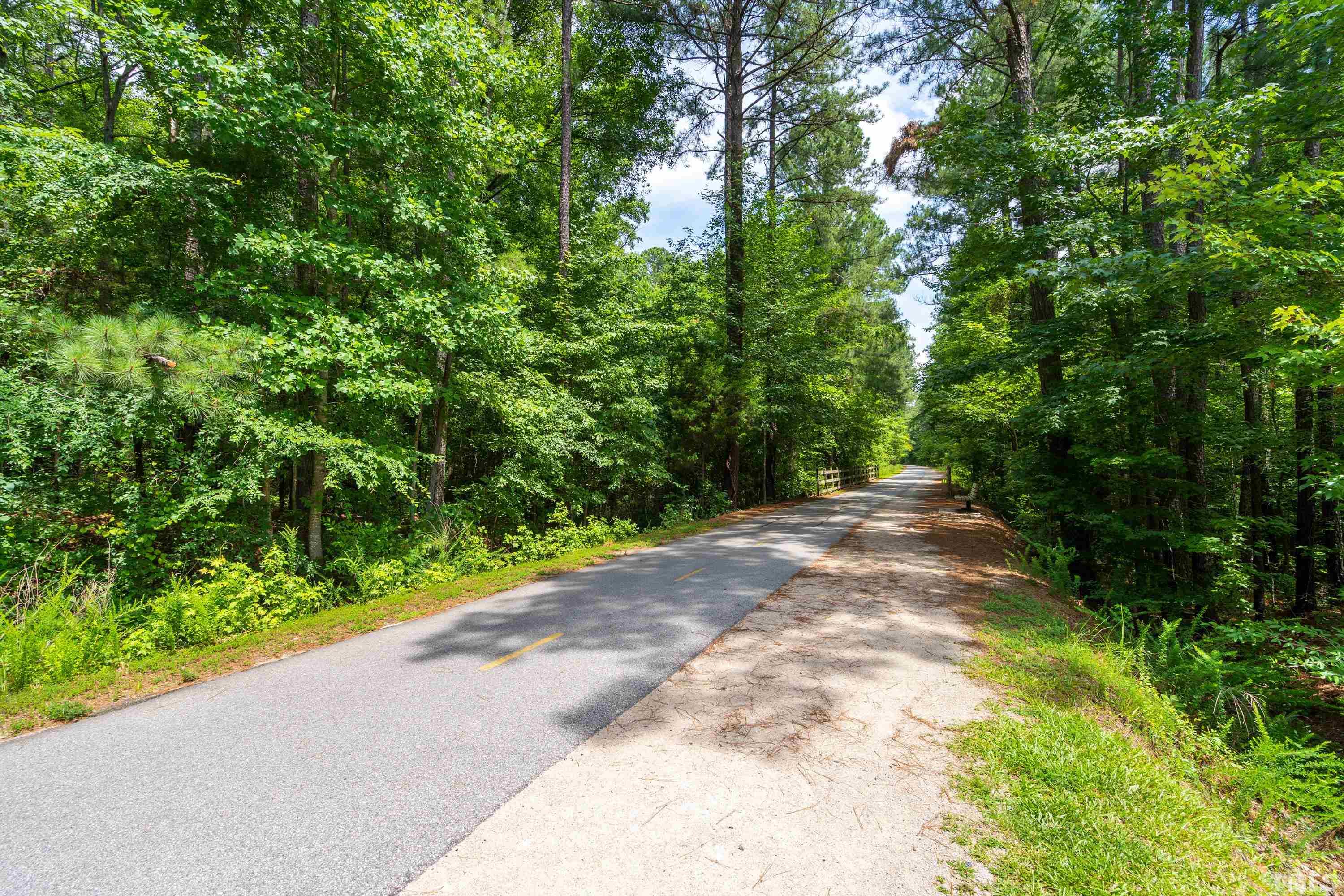 3013 Colmar Manor Drive Cary, NC 27519 - Photo 30 of 53 a view of a pathway both side of yard
