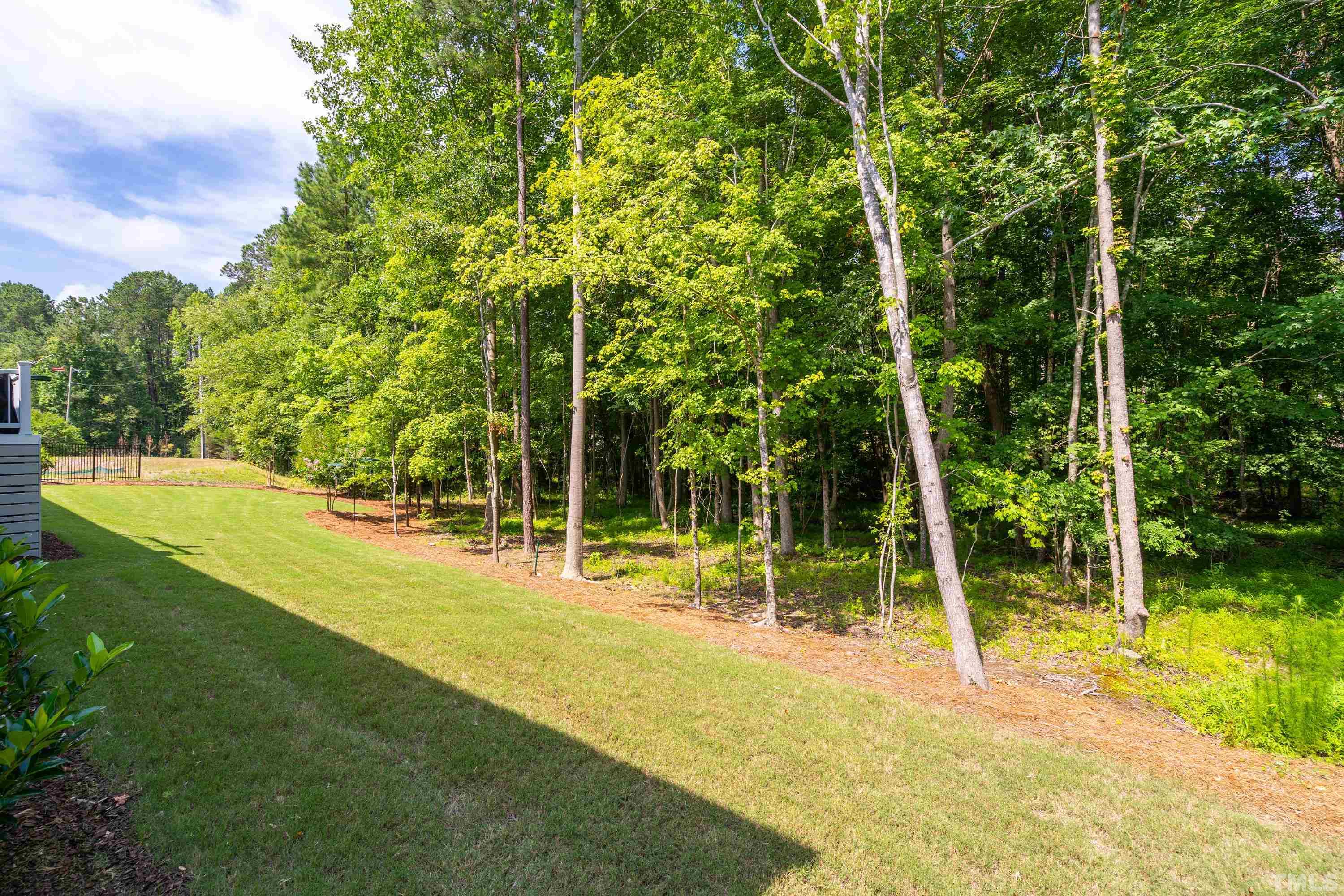 3013 Colmar Manor Drive Cary, NC 27519 - Photo 42 of 53 a view of a yard with a slide