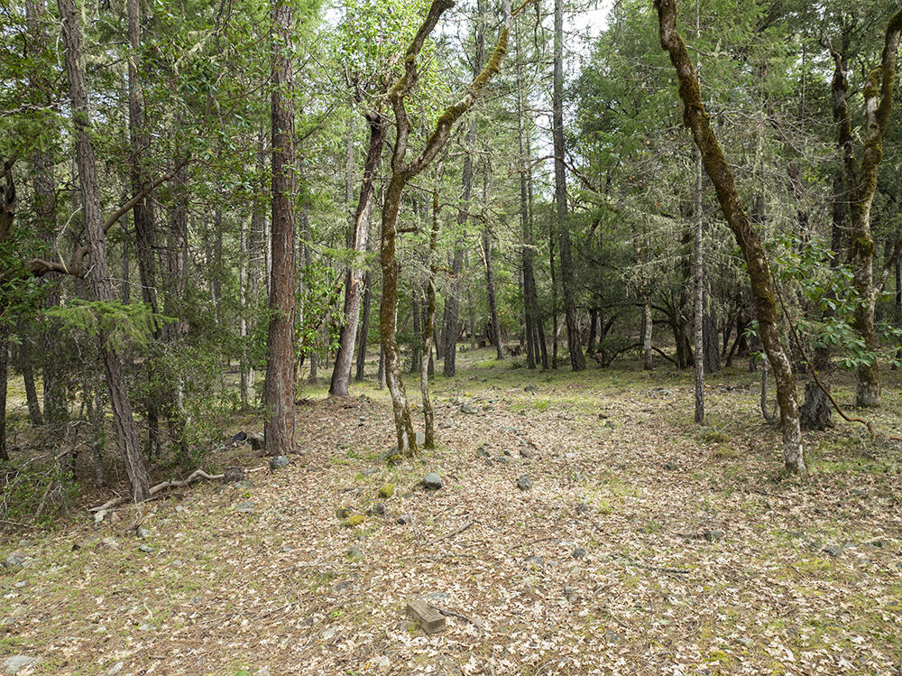 15150 Water Gap Road Williams, OR 97544 - Photo 30 of 53 36