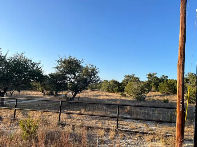 a view of a bunch of trees