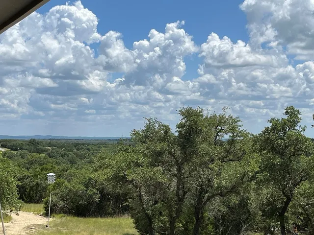 a view of a yard in a house