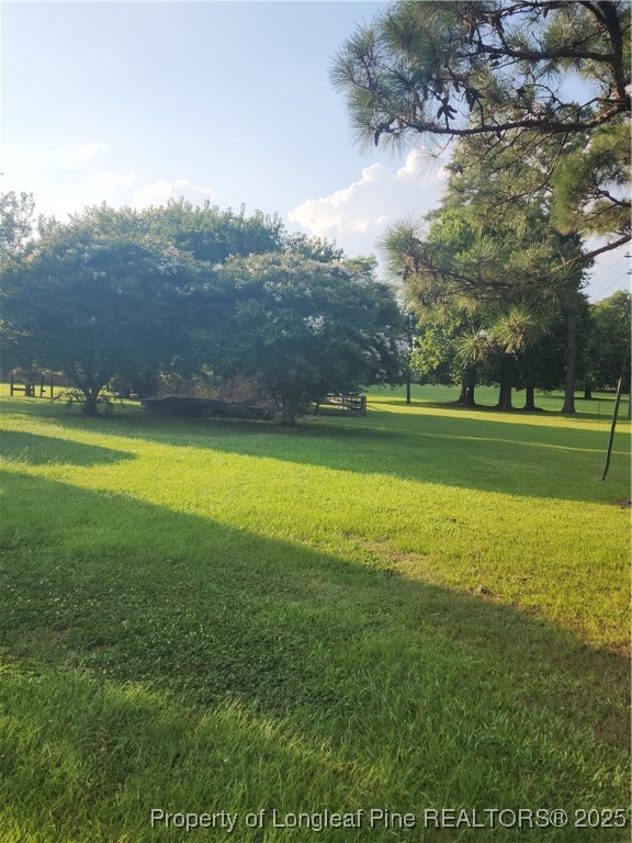 803 Antioch Church Road Dunn, NC 28334 - Photo 17 of 17 a view of a golf course with a lake