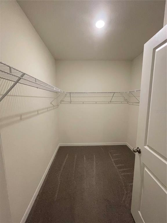 33724 Jasmine Star Loop Wesley Chapel, FL 33543 - Photo 21 of 28