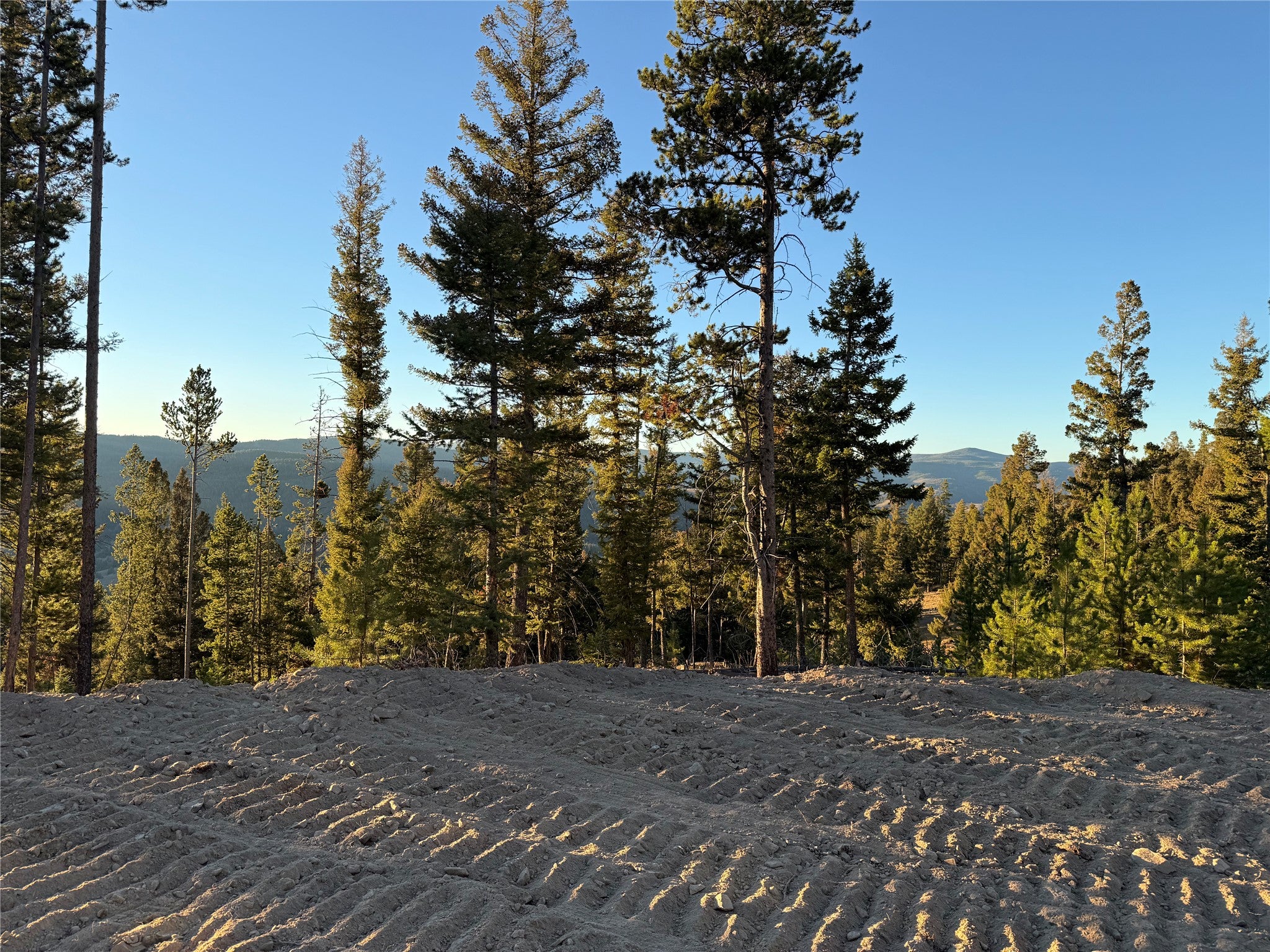 Lot 8 Ruby Street Butte, MT 59701 - Photo 25 of 34 Gallery Image 25
