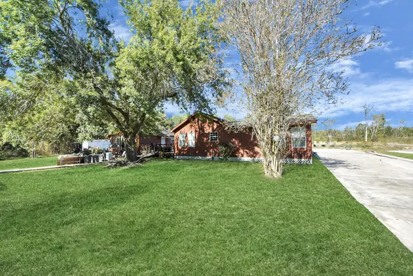 a view of a park with large trees