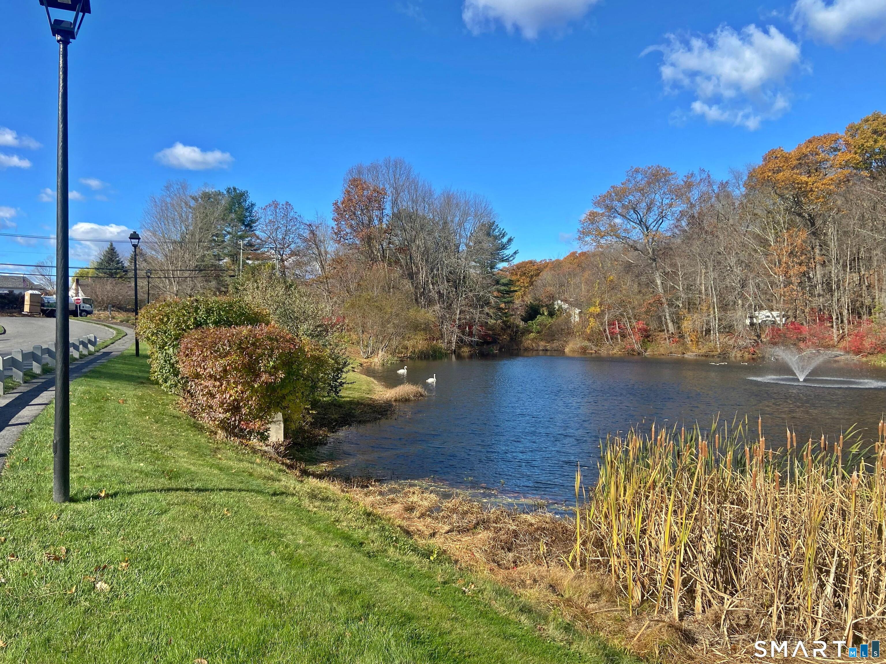 8 St George Place, Unit 8 Newtown, CT 06482 - Photo 5 of 31 a view of a lake with a mountain