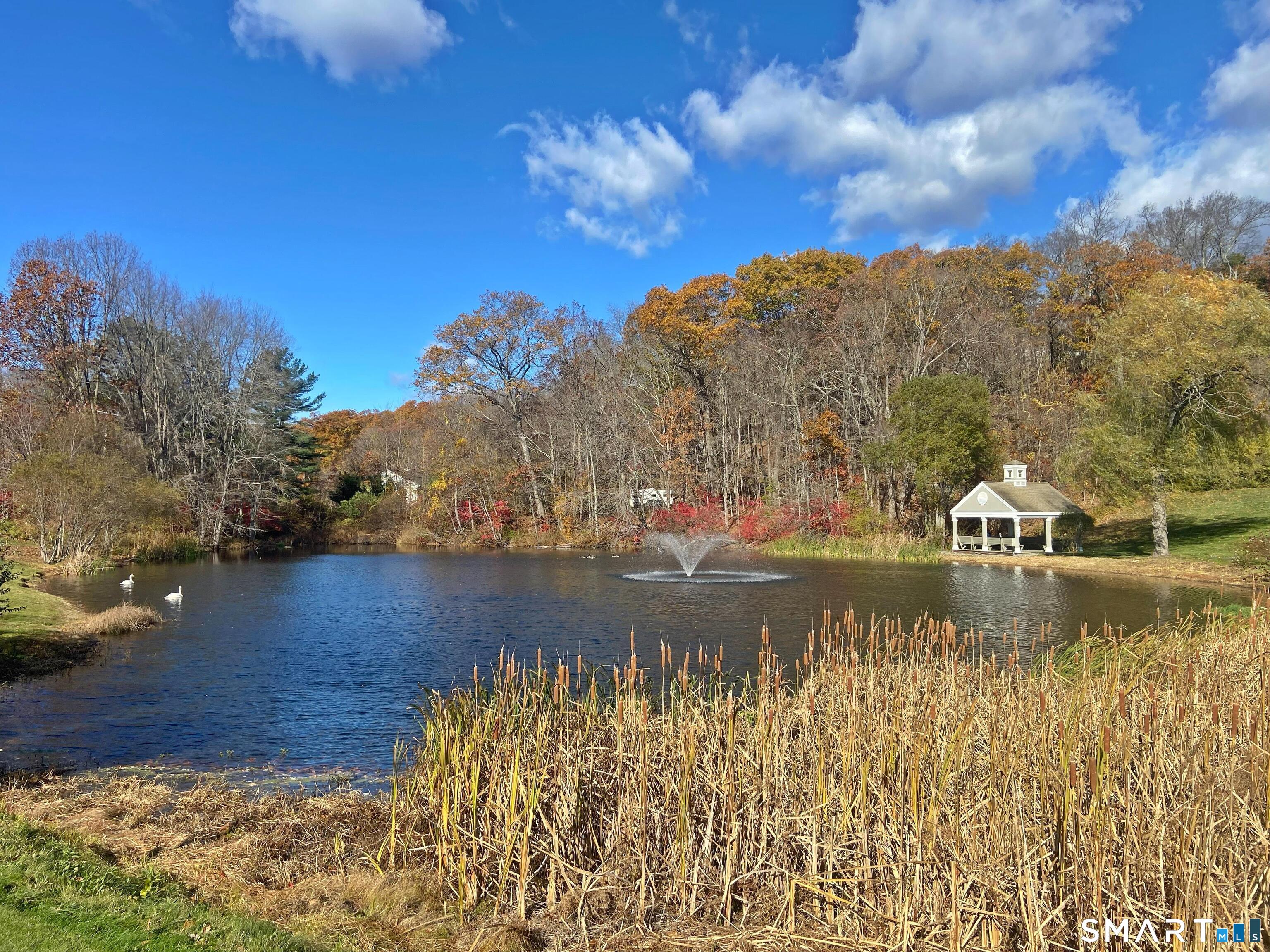8 St George Place, Unit 8 Newtown, CT 06482 - Photo 6 of 31 a view of ocean with green space