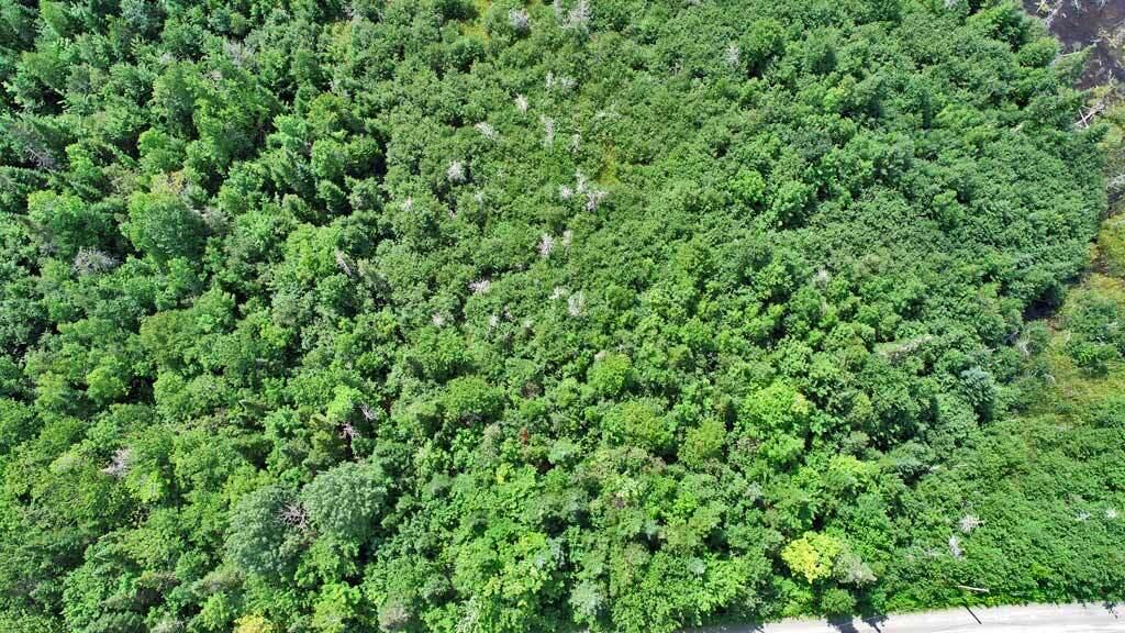 Lot 8 Laskey Road Houlton, ME 04730 - Photo 23 of 25 road-frontage-me-land