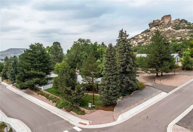a view of a park with plants and a bench
