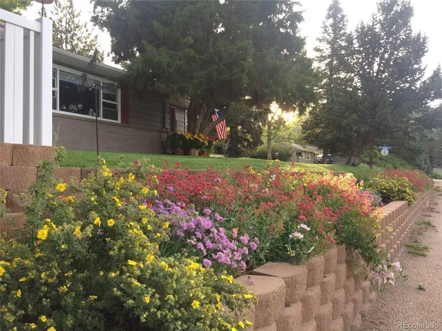 a view of a yard with yellow plants