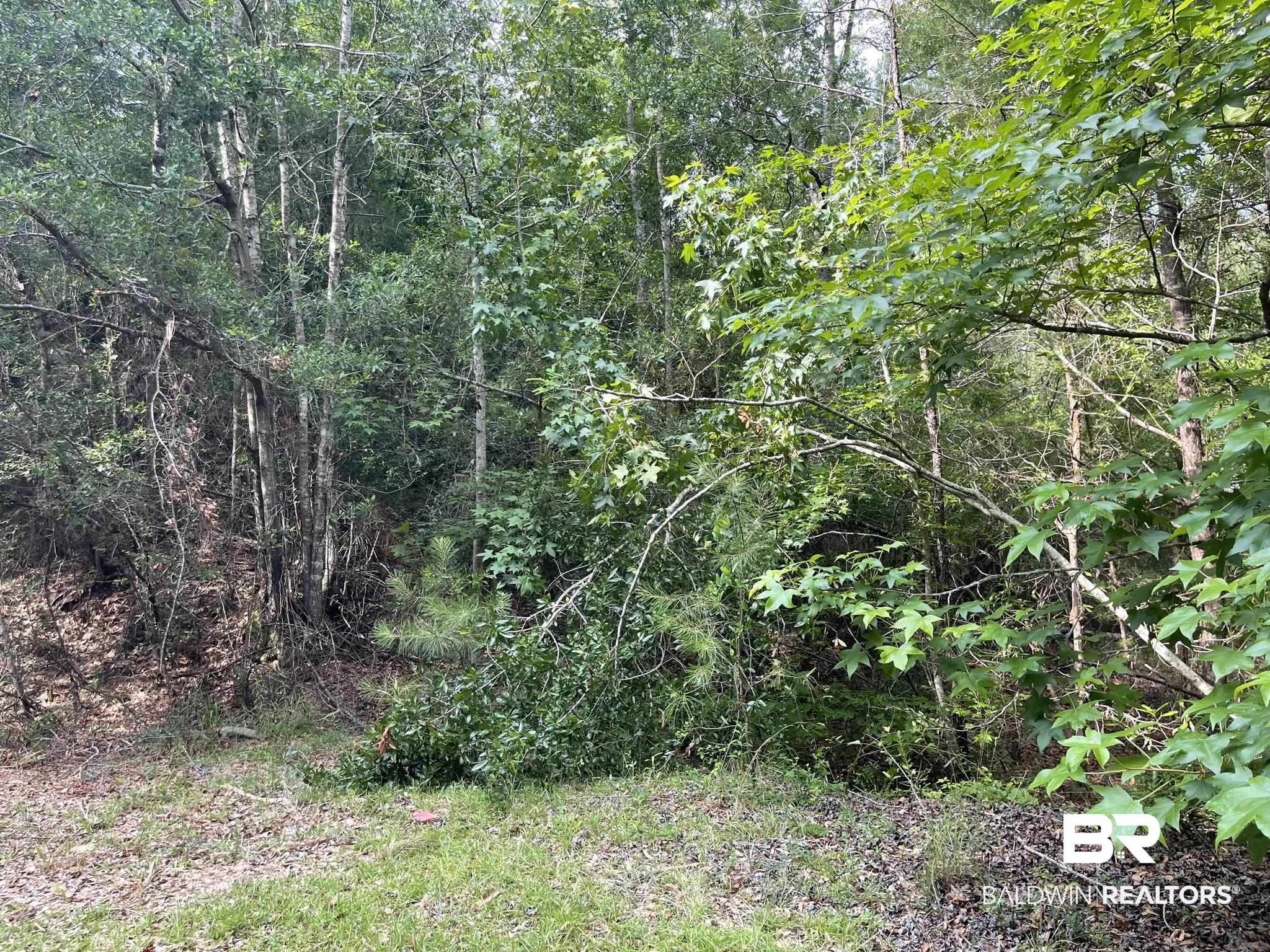 1 Highway 4 Jay, FL 32565 - Photo 36 of 50