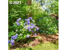 41565 Deerhorn Road Springfield, OR 97478 - Photo 18 of 26 Gallery Image 18