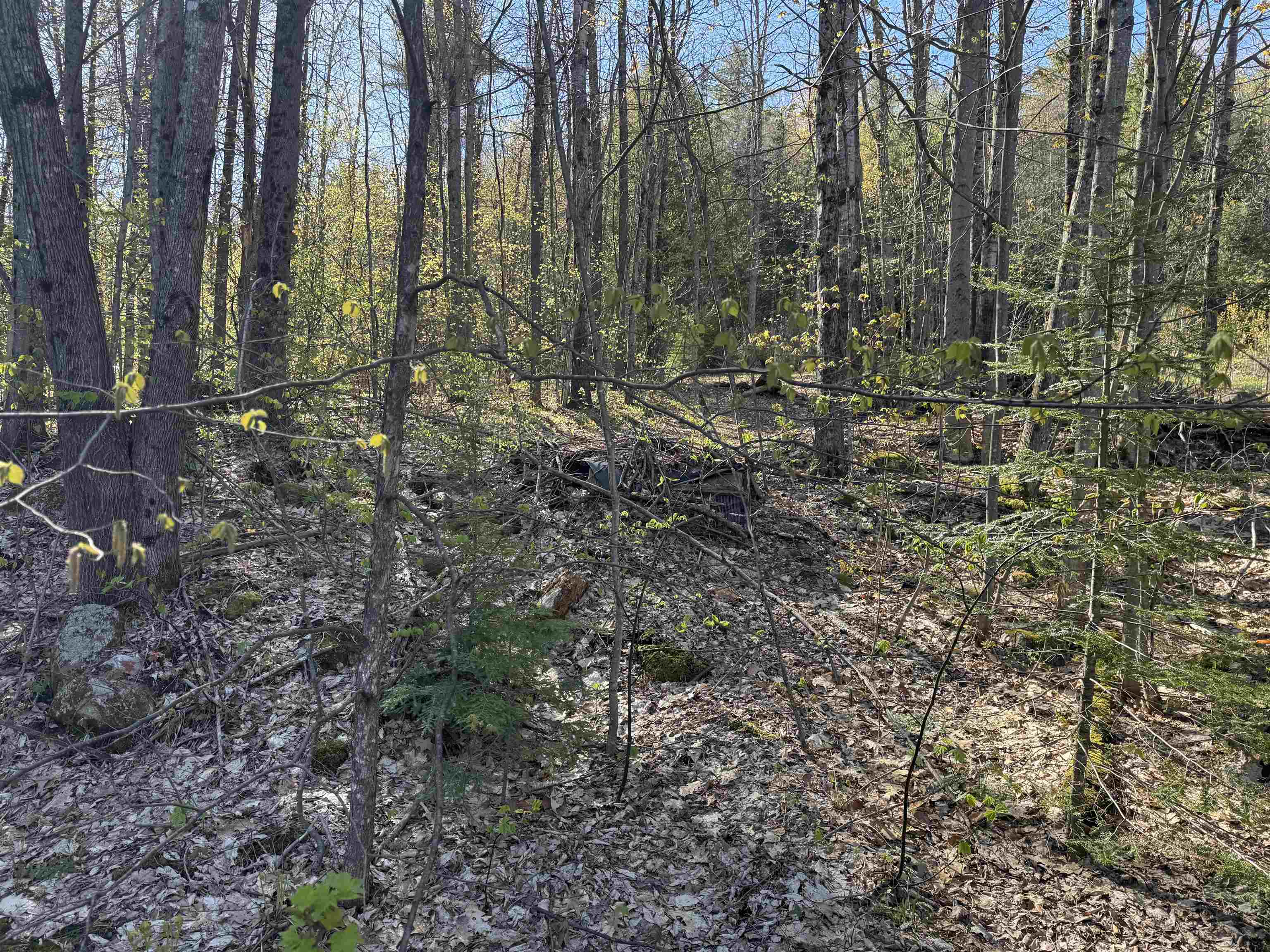 807 Kidder Hood Road Bradford, VT 05033 - Photo 20 of 21