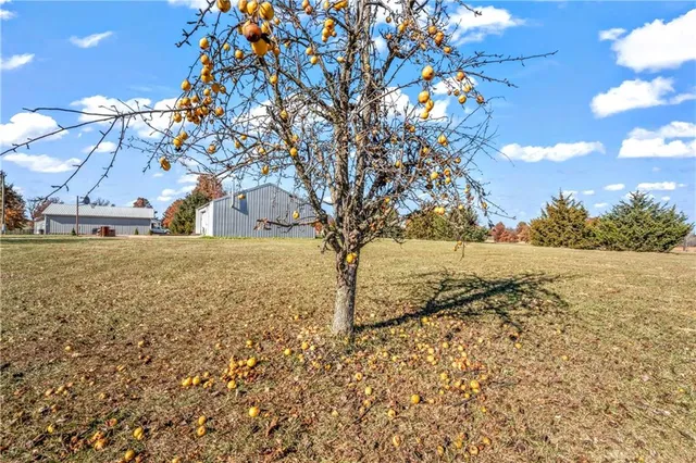 $400,000 | 148 Southwest 1971st Road, Kingsville, MO 64061