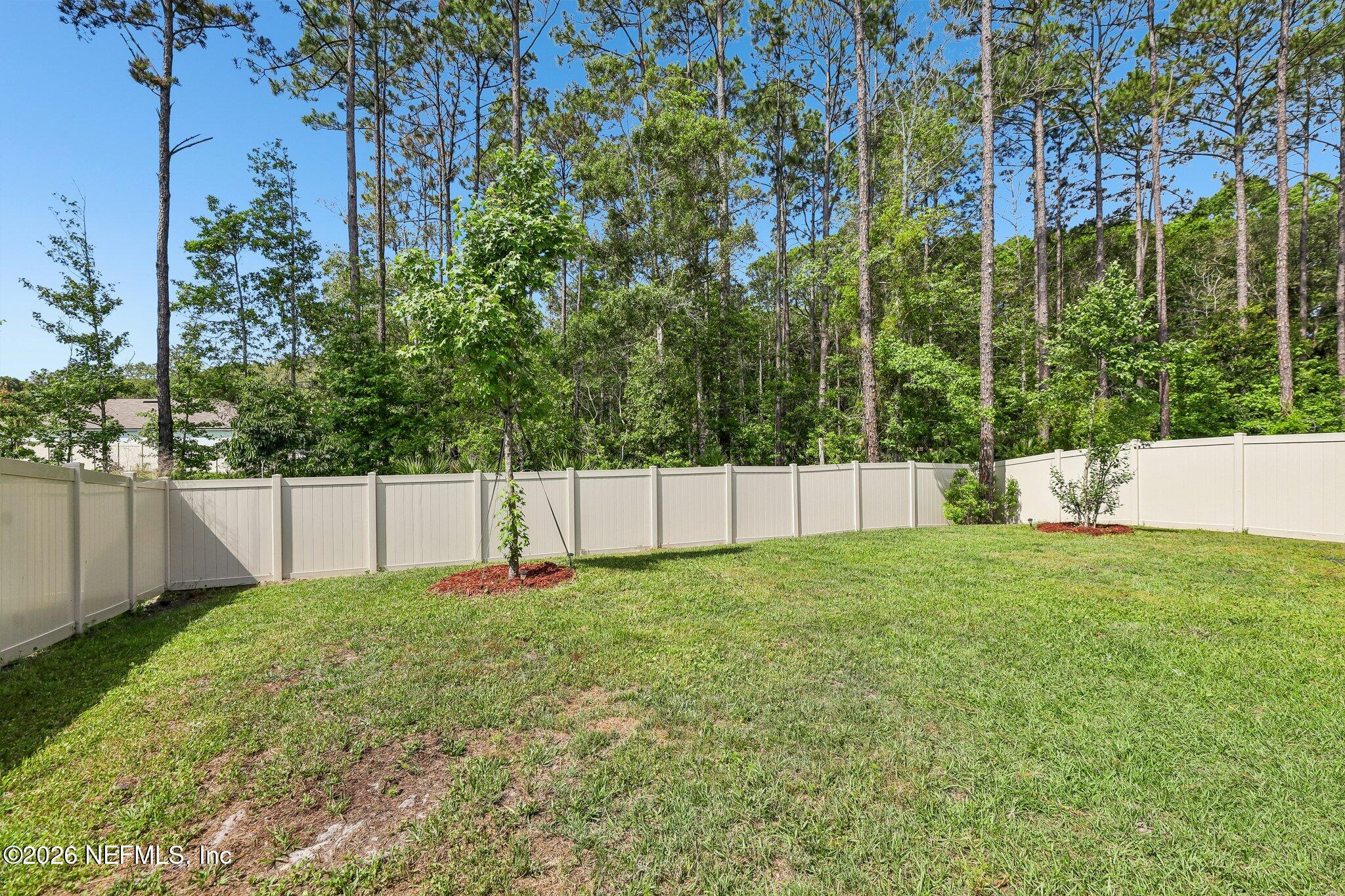 75 Encanto Way Street St. Augustine, FL 32084 - Photo 41 of 66 Back yard