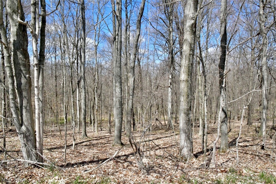 3 County Road Warsaw, OH 43844 - Photo 7 of 24 Gallery Image 7